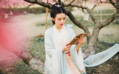 古代高N车多肉多